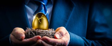 Altın Yuva Yumurtası - Yatırım Olgunluğu Konsepti