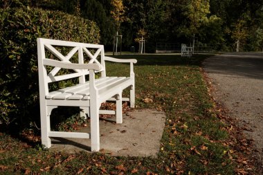Sonbahar mevsiminde bahçedeki beyaz Patio Bench 'in manzarası.