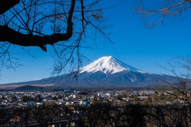 Fuji Dağı 'nın ağaçlı görüntüsü, Japonca Fuji san Dağı' nın yılda yaklaşık beş ay kar altında kalan olağanüstü simetrik konisi. Japonya 'nın sembolü olarak bilinir..