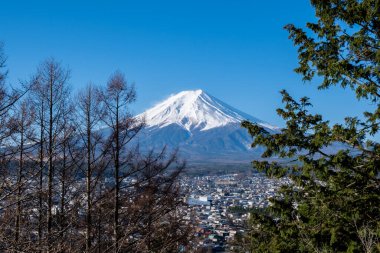 Fuji Dağı 'nın ağaçlı görüntüsü, Japonca Fuji san Dağı' nın yılda yaklaşık beş ay kar altında kalan olağanüstü simetrik konisi. Japonya 'nın sembolü olarak bilinir..