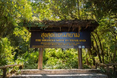 Chiang Mai, Tayland - 22 Şubat 2019: Tayland'ın en yüksek noktasının görünümü 2,565.3341 metre yukarıda, Chiang Mai' deki Doi Inthanon milli parkında deniz seviyesinden ahşap tabela.