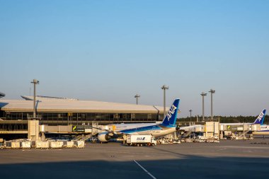 Chiba, Japonya - 24 Mart 2019: Japonya 'nın en büyük havayolu şirketi olan ANA veya All Nippon Airways uçağı Narita Uluslararası Havaalanı, Chiba, Japonya.