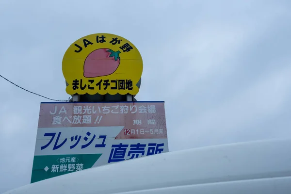 日本东京 2019年3月21日 日本东京市Mashiko Hagano Mashiko Strawberry Picking农场标志和标志景观 — 图库照片