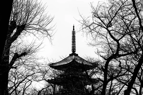 Vista Kan Pagode Original Cinco Andares Parque Ueno Tóquio Japão — Fotografia de Stock