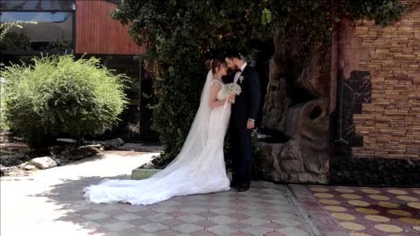 Bride hugs groom posing in restaurant garden at wedding — Stock Video