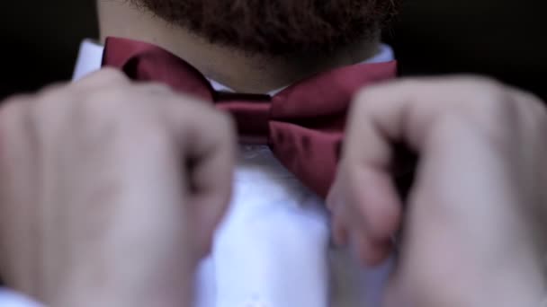 Bridegroom fastens red bow-tie on white shirt at wedding — Stock Video