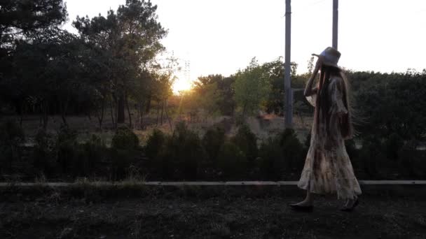 Wunderbare Dame im langen Sommerkleid Silhouette wandert — Stockvideo