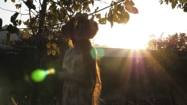 Модель силуэта с распущенными волосами, помахаными ветром на закате — стоковое видео