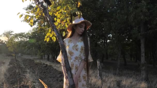 Long haired brunette poses standing by green tree at sunset — Stock Video