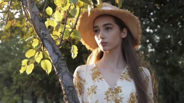 Elegante dama de sombrero se encuentra cerca de abedul verde y sonrisas — Vídeos de Stock