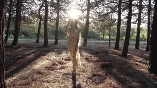 Půvabná žena v šatech kráčí podél slunného parku zpomalení — Stock video