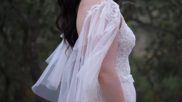 Novia en elegante vestido se levanta posando contra el paisaje borroso — Vídeos de Stock