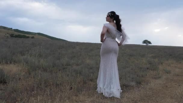 Modelo con cola de caballo en vestido posa entre la naturaleza montañosa — Vídeos de Stock