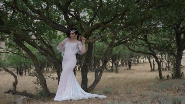 Novia en vestido apretado se encuentra cerca de árbol viejo apoyado en la rama — Vídeo de stock