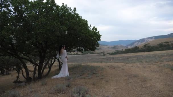 Леди в кружевном платье позирует возле дерева против холмистой природы — стоковое видео