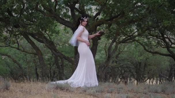 Oriental dama en gran vestido poses cerca viejo árbol en highland — Vídeos de Stock