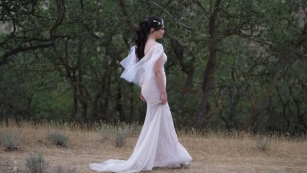 Modelo caminha ao longo prado segurando vestido contra árvores verdes — Vídeo de Stock