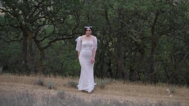 Dame in trouwjurk loopt langs lege weide tegen bomen — Stockvideo