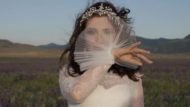 Brunette bruid met glanzende tiara poses in het veld op winderige dag — Stockvideo