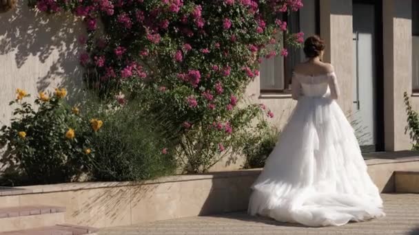 Futura esposa en el vestido de novia se encuentra cerca de flores en flor — Vídeo de stock