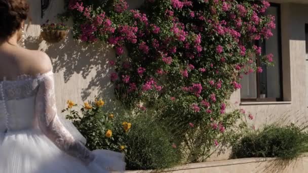 Dama en vestido de novia con falda bouffant camina cerca de rosas — Vídeo de stock