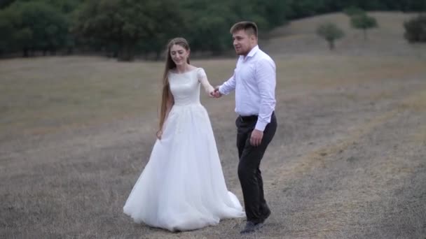 Lächelndes Hochzeitspaar wandert über breite braune Wiese — Stockvideo