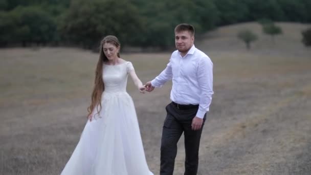 Handsome fiance holds bride hand walking along brown meadow — 비디오