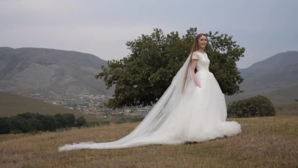 Mosolygós hölgy esküvői ruha fátyollal áll a réten — Stock videók