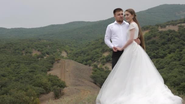 Wonderful wedding couple stands on brown hilltop meadow — 비디오