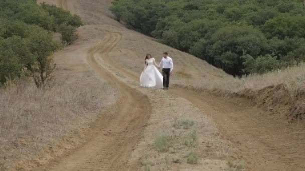 Casamento maravilhoso casal caminha ao longo da estrada terra marrom — Vídeo de Stock