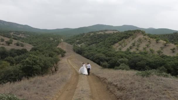 Nygifta vandrar längs markvägen bland bruna ängar — Stockvideo