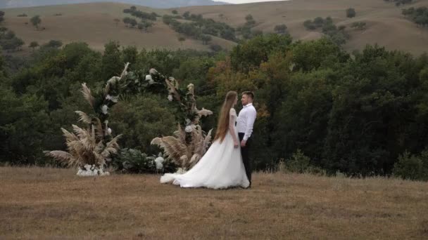 Wonderful wedding couple stands on brown meadow by hills — ストック動画