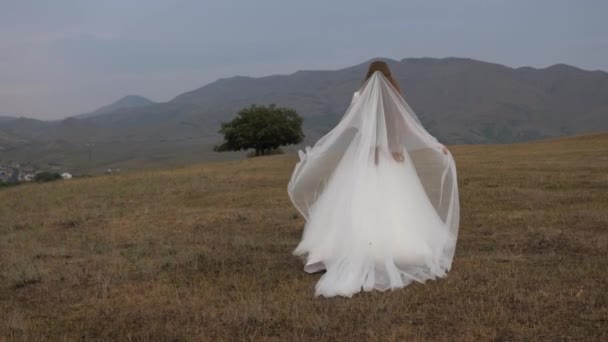 Невеста с длинной белой вуалью идет по широкому коричневому лугу — стоковое видео