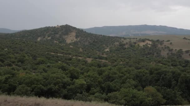 forêts denses vertes pittoresques et prairies brunes lentes 