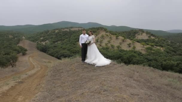 Elegant newlyweds hug standing on brown meadow near road — ストック動画