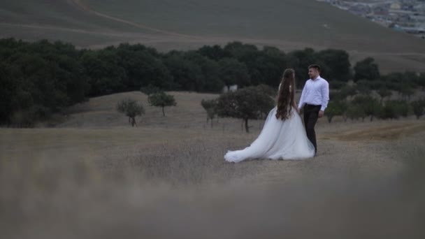 Fiance holds bride with long loose flowing hair hand at hill — Stock Video