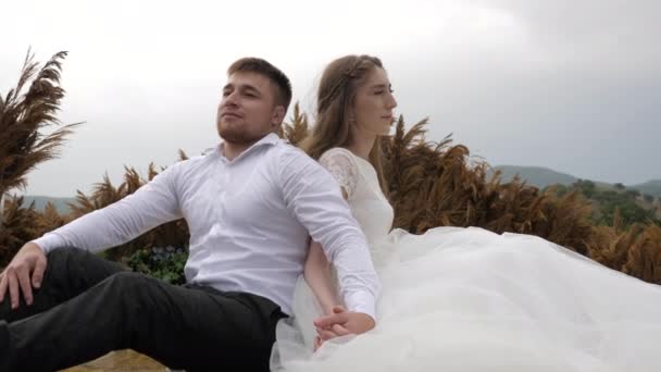 Свадьба пара сидит среди miscanthus перья взявшись за руки — стоковое видео