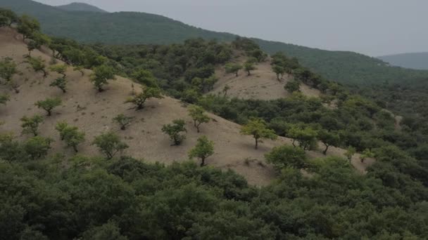 Groene bomen op bruine helling weide tegen heuvelachtig landschap — Stockvideo