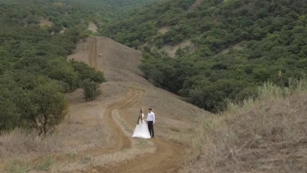 Радісна пара у весільній заправці сміється на першій дорозі — стокове відео