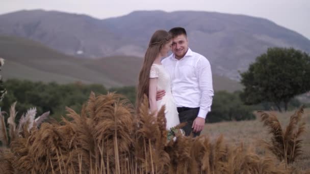 Красивий чоловік обіймає довгошерсту наречену, що стоїть на прикрасі — стокове відео