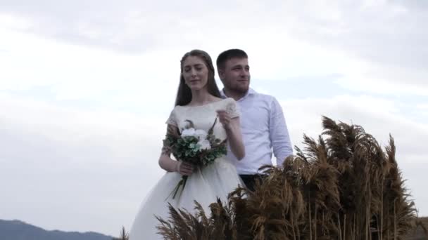 Pareja de boda posa cerca de gran decoración de miscanthus marrón — Vídeos de Stock