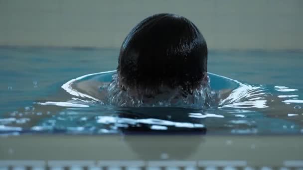 Surfaces professionnelles de nageur de l'eau bleue de piscine — Video