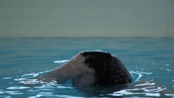 Bebaarde man oppervlakken van het zwembad water en ademt — Stockvideo