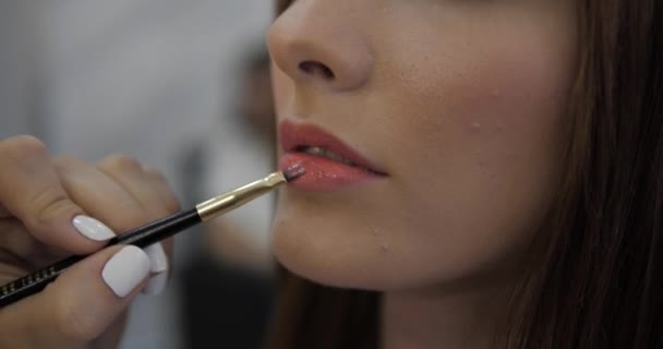 Artista de maquillaje profesional aplica lápiz labial rosa con pincel — Vídeos de Stock