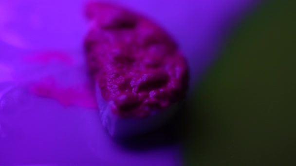 Purple neon colour boils creating foam bubbles macro view — Stockvideo