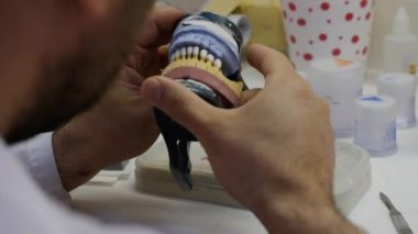 orthodontist examines yellow and blue plastic cast of jaw