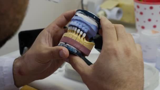 Dentista profesional mira elenco de plástico de la mandíbula giratoria — Vídeo de stock
