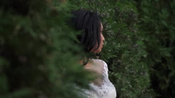 Elegante sposa indossa bel vestito in cespugli rallentatore — Video Stock