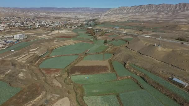 Montaña alta con campos de repollo cerca de la pequeña ciudad aérea — Vídeo de stock