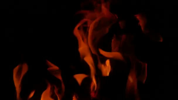 Background Flame Fire Burning Fireplace — Stock Video